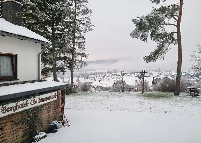 Hotel Waidmannsheil 3*